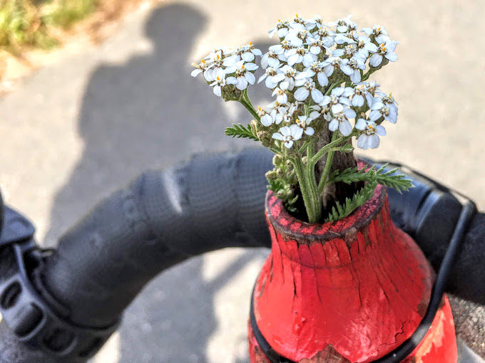 Blumenvase am Radlenker, Fahrer-Schatten