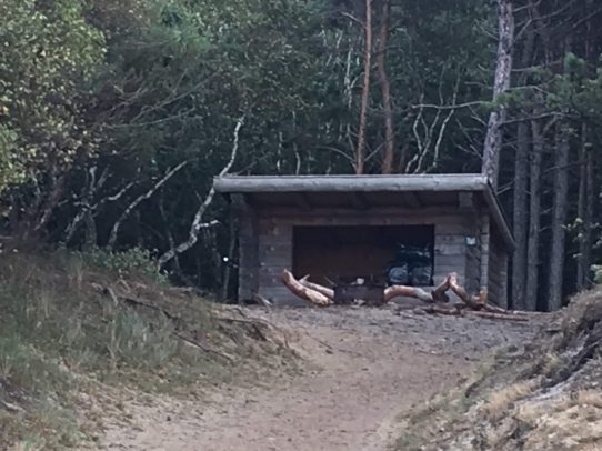 Shelter vor Wald