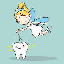 Osung Tooth Fairy