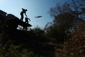 IMG_6385