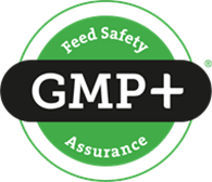 GMP 
                         logo