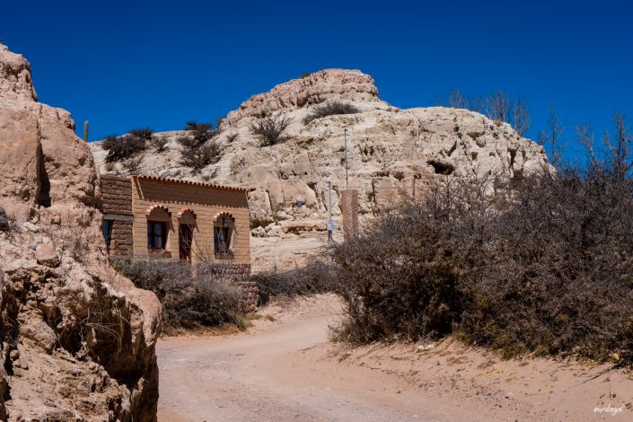 Argentinien, argentina, Humahuaca, Mirador del Hornocal, Quebrada, Berg der 14 Farben, coca, Empanadas, sunset, pakpod, kaktus, kakteen, salta