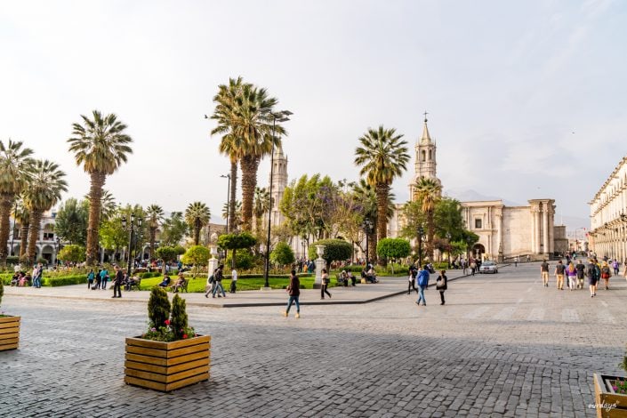 Peru, Arequipa, Plaza de Armas, Basilica Cathedral von Arequipa, Alpaca, Alpacawolle, Church of San Agustí, Innenstadt, Free Walking Tour, Meerschweinchen, Pisco Sour, Santa Catalina