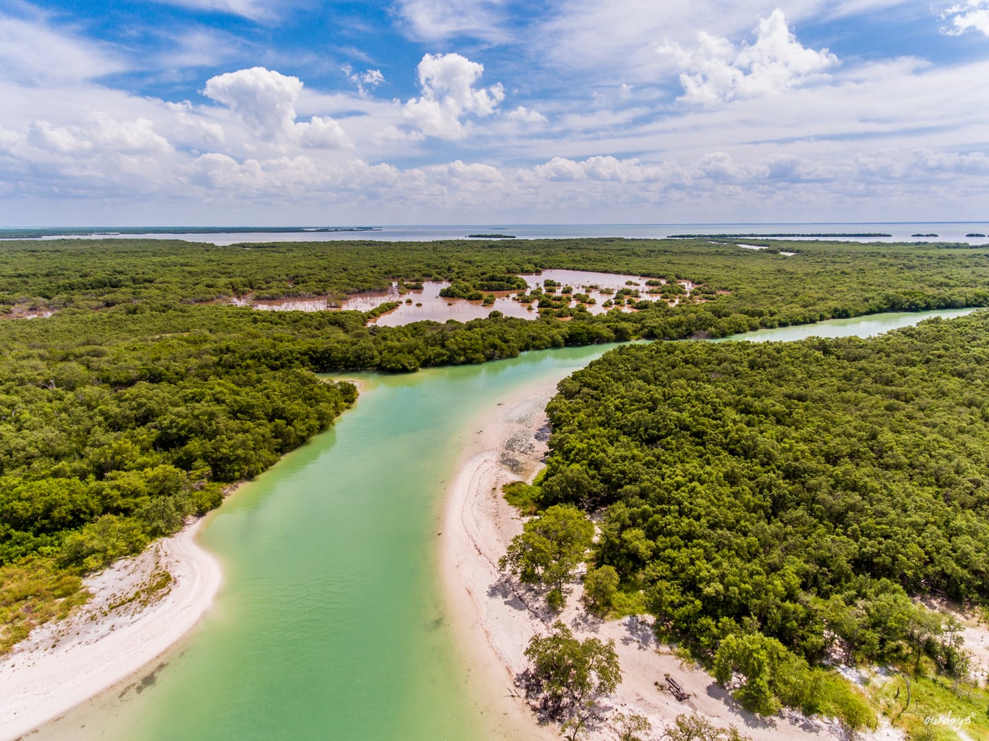 Isla Holbox, Mexiko, Drohne, Dji, Phantom 4, Drone, Villa Flamingo, Sunset, Casa El Viento, Punto Mosquito, Golfcars, El Bajo, Flamingos, Pelikan, Leguan