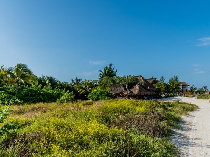 Isla Holbox, Mexiko, Drohne, Dji, Phantom 4, Drone, Villa Flamingo, Sunset, Casa El Viento, Punto Mosquito, Golfcars, El Bajo, Flamingos, Pelikan, Leguan