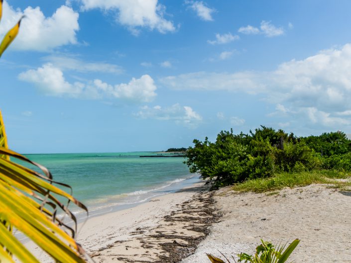 Isla Holbox, Mexiko, Drohne, Dji, Phantom 4, Drone, Villa Flamingo, Sunset, Casa El Viento, Punto Mosquito, Golfcars, El Bajo, Flamingos, Pelikan, Leguan