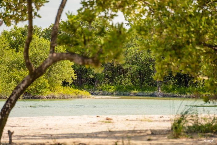 Isla Holbox, Mexiko, Drohne, Dji, Phantom 4, Drone, Villa Flamingo, Sunset, Casa El Viento, Punto Mosquito, Golfcars, El Bajo, Flamingos, Pelikan, Leguan