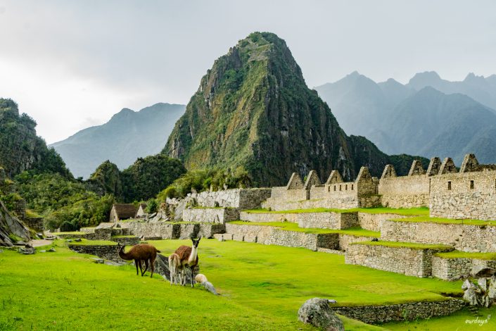 Machu Picchu, Peru, Aguas Calientes, Ruinen, Lamas, Hidroelectrica, Minibus, Cusco, Train, Zug, Montana, Huyana Picchu,