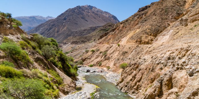 Pisco, Pachamama, Arequipa, Capanaconde, Colca, Canyon, Condor, Llahuar, Oasis, Malata, Sangalle, Rio Colca, Llahuar Hostel, Hotspring, Geysir, Cruz del Condor, Babycondor, Chivay