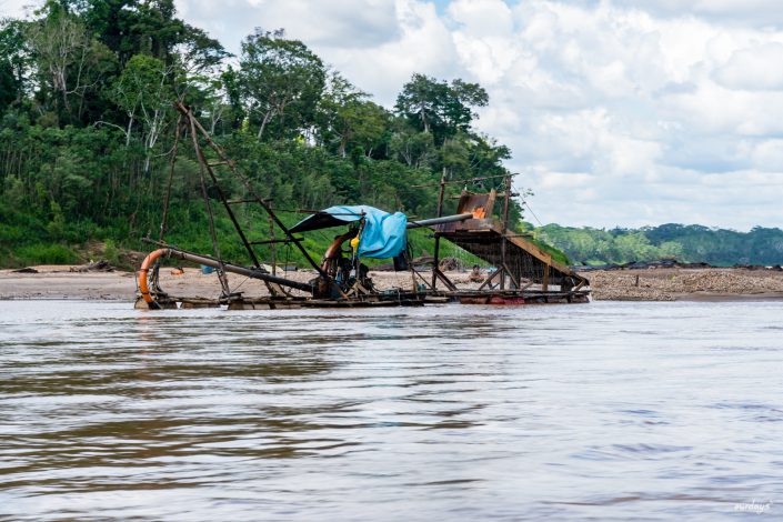 peru, amazonasgebiet, puerto maldonado, lake sandoval, tambopata nationalpark, macaw, clay lick, jaguar, gold, boat, Boot, Fluß, river, cayman, snake, spider, Rio madre de dios, rio tambopada