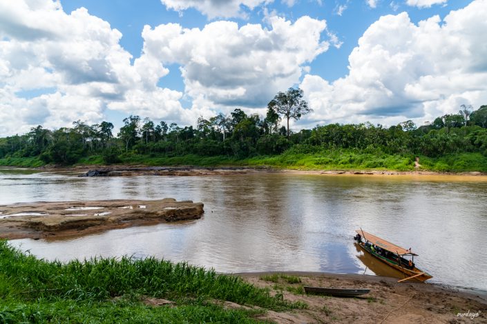 peru, amazonasgebiet, puerto maldonado, lake sandoval, tambopata nationalpark, macaw, clay lick, jaguar, gold, boat, Boot, Fluß, river, cayman, snake, spider, Rio madre de dios, rio tambopada