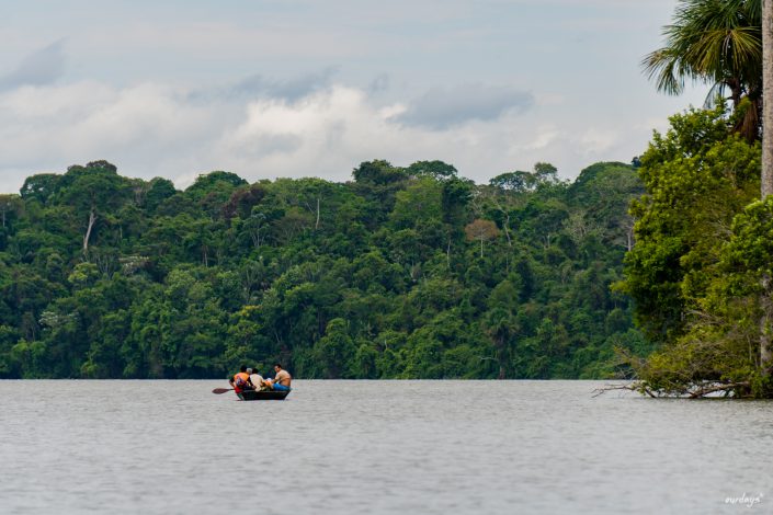 peru, amazonasgebiet, puerto maldonado, lake sandoval, tambopata nationalpark, macaw, clay lick, jaguar, gold, boat, Boot, Fluß, river, cayman, snake, spider, Rio madre de dios, rio tambopada