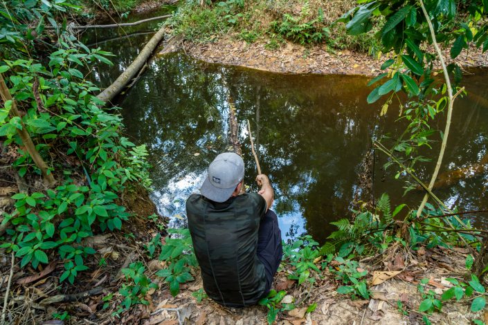 peru, amazonasgebiet, puerto maldonado, lake sandoval, tambopata nationalpark, macaw, clay lick, jaguar, gold, boat, Boot, Fluß, river, cayman, snake, spider, Rio madre de dios, rio tambopada