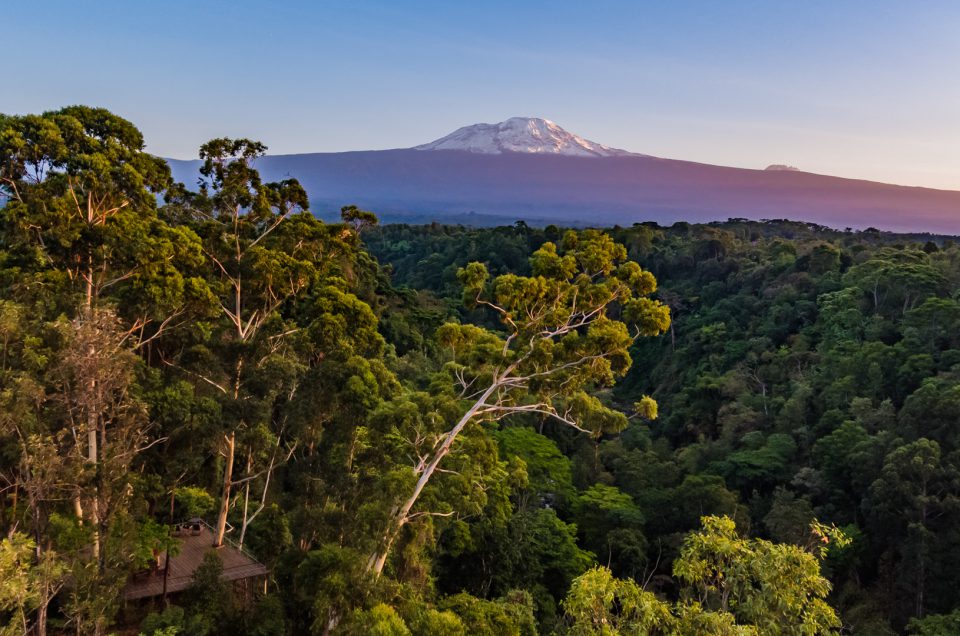 the top of africa - Kilimanjaro