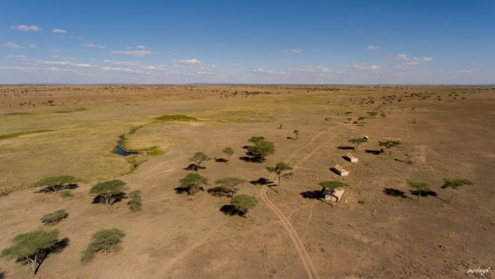 Serengeti, game drive, ngorongoro, krater, mawe, sonyalpha, safari, löwen, lion, tansania, tanzania, camp