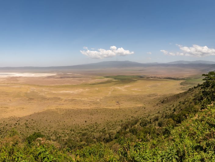 Serengeti, game drive, ngorongoro, krater, mawe, sonyalpha, safari, löwen, lion, tansania, tanzania, camp