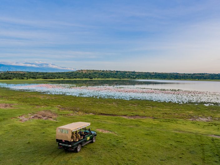 Queen Elizabeth, Katwe, Mweya Lodge, Safari, Game drive, Lions, tree, Ishasha, Kazenga, Elefants, Buffalos, Elephants, Büffel, Löwe