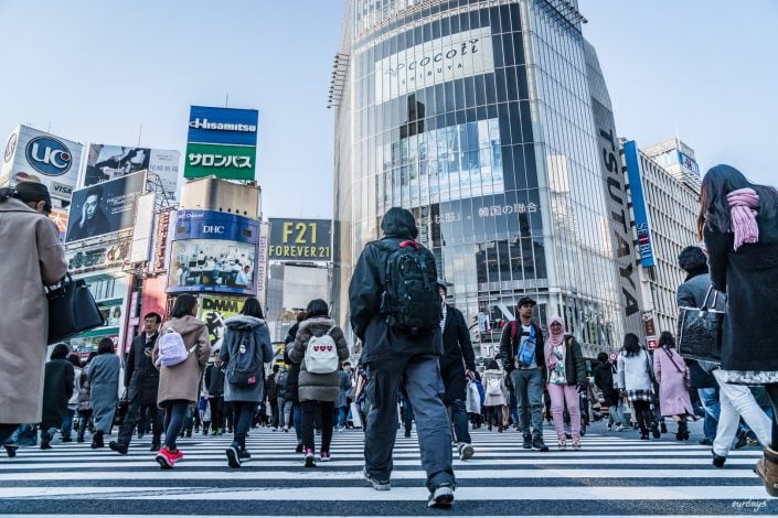 Japan, Tokyo, Shibuya, Sushi, Skytree, Harakuja, Shrine, Skyline, Yoyogi, Asakusa, Ahibara, Tsuiji, fish, market,