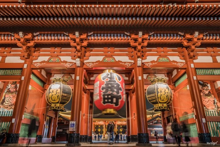 Japan, Tokyo, Shibuya, Sushi, Skytree, Harakuja, Shrine, Skyline, Yoyogi, Asakusa, Ahibara, Tsuiji, fish, market,