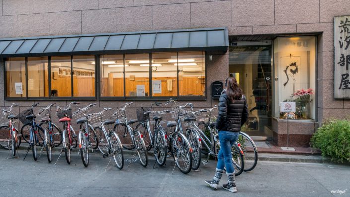 Japan, Tokyo, Shibuya, Sushi, Skytree, Harakuja, Shrine, Skyline, Yoyogi, Asakusa, Ahibara, Tsuiji, fish, market,