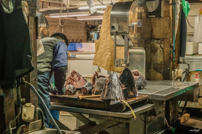 Japan, Tokyo, Shibuya, Sushi, Skytree, Harakuja, Shrine, Skyline, Yoyogi, Asakusa, Ahibara, Tsuiji, fish, market,