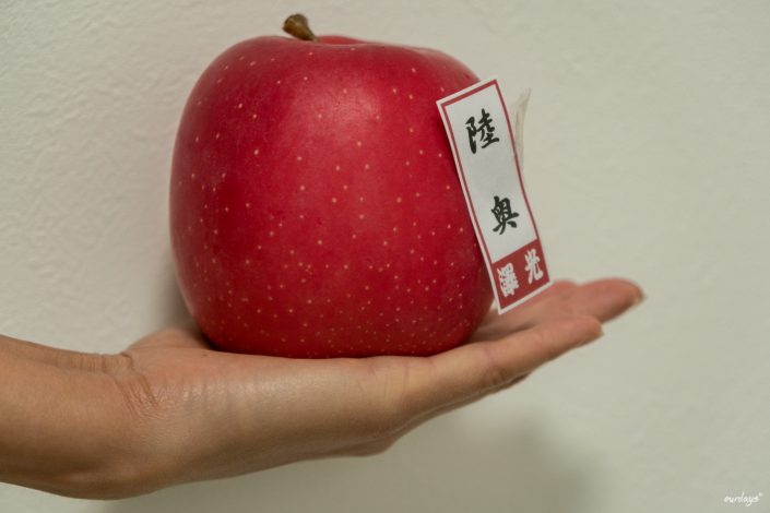 Japan, Tokyo, Shibuya, Sushi, Skytree, Harakuja, Shrine, Skyline, Yoyogi, Asakusa, Ahibara, Tsuiji, fish, market,