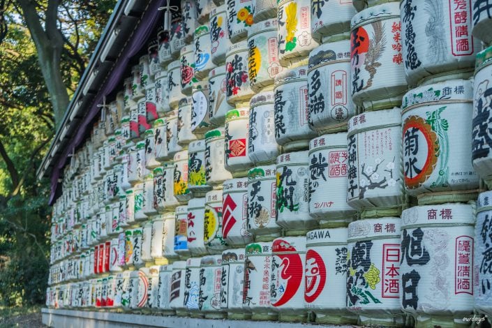 Japan, Tokyo, Shibuya, Sushi, Skytree, Harakuja, Shrine, Skyline, Yoyogi, Asakusa, Ahibara, Tsuiji, fish, market,