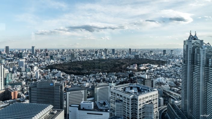 Japan, Tokyo, Shibuya, Sushi, Skytree, Harakuja, Shrine, Skyline, Yoyogi, Asakusa, Ahibara, Tsuiji, fish, market,