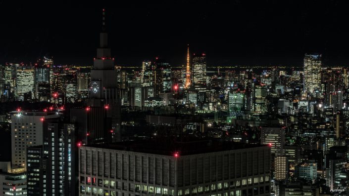 Japan, Tokyo, Shibuya, Sushi, Skytree, Harakuja, Shrine, Skyline, Yoyogi, Asakusa, Ahibara, Tsuiji, fish, market,