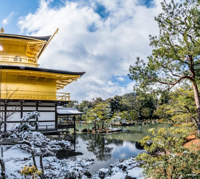 Kyoto, Japan, Tempel, Schrein, Shinto, Buddhismus, Geisha, Maiko, Geiko, Teezeremonie, Kimono, Tradition