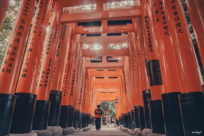 Kyoto, Japan, Tempel, Schrein, Shinto, Buddhismus, Geisha, Maiko, Geiko, Teezeremonie, Kimono, Tradition