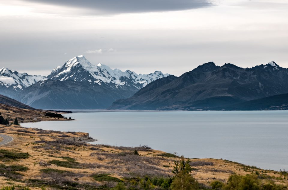 first impressions hiking NZ!