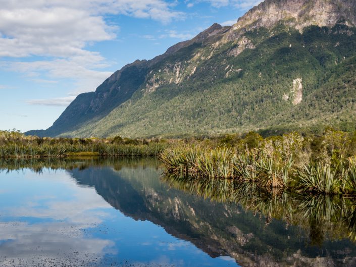 Fjordland, Te Anau, Kiwi, Fly fishing, Farm, Milford sound, keysummit, trail, hiking, wandern, fliegenfischen