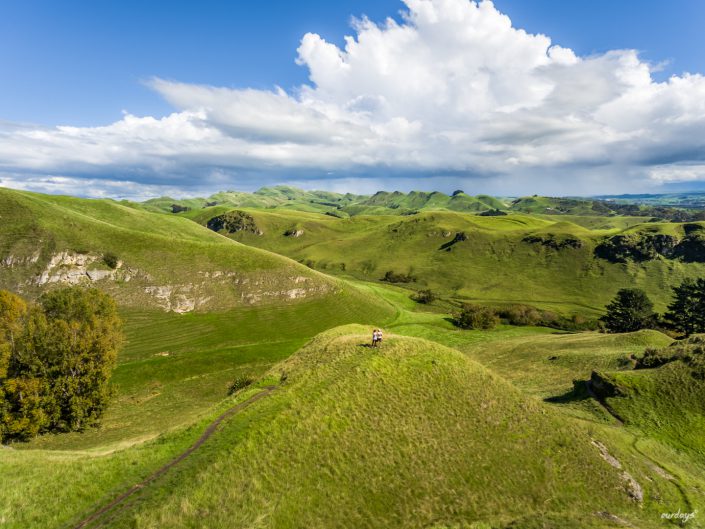 Hastings, Napier, Te Mata peak, Rotorua, Maori, Tongariro, Alpine Crossing, auckland, north island, beach, tölpel, waiotapu, Cape Kidnapper