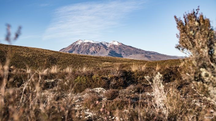 Hastings, Napier, Te Mata peak, Rotorua, Maori, Tongariro, Alpine Crossing, auckland, north island, beach, tölpel, waiotapu, Cape Kidnapper