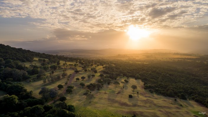 Kenya, Safari, Massai, Lion, Löwe, Aberdare, Nationalpark, Countryclub, Animals, Tiere, Ark, Leisure Camp, Eastafrica, Ostafrika, Kenia