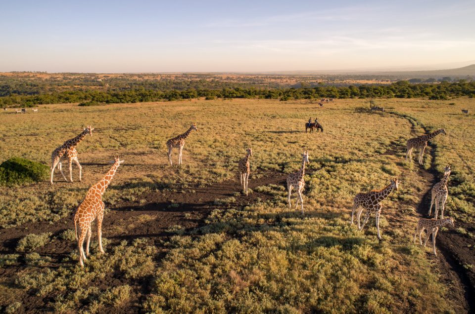 Aberdare Country Club, Kenya!