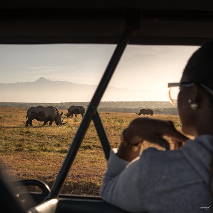 Kenya, Safari, Massai, Lion, Löwe, Aberdare, Nationalpark, Countryclub, Animals, Tiere, Ark, Leisure Camp, Eastafrica, Ostafrika, Kenia