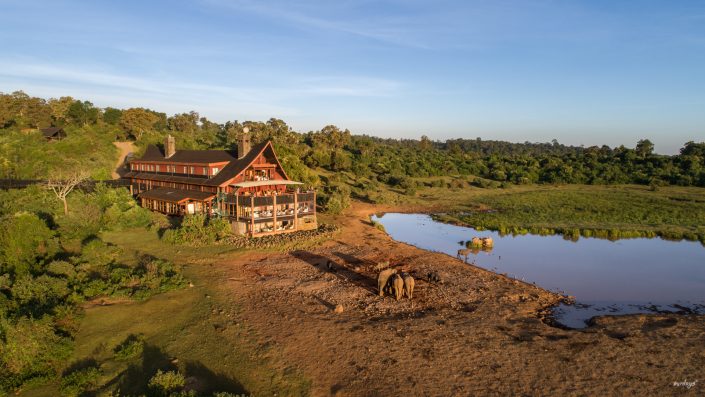 Kenya, Safari, Massai, Lion, Löwe, Aberdare, Nationalpark, Countryclub, Animals, Tiere, Ark, Leisure Camp, Eastafrica, Ostafrika, Kenia