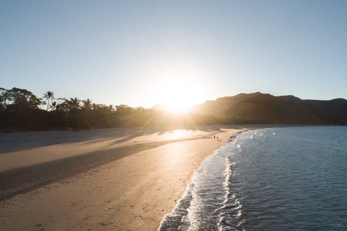 Känguru, Beach, Queensland, Australia