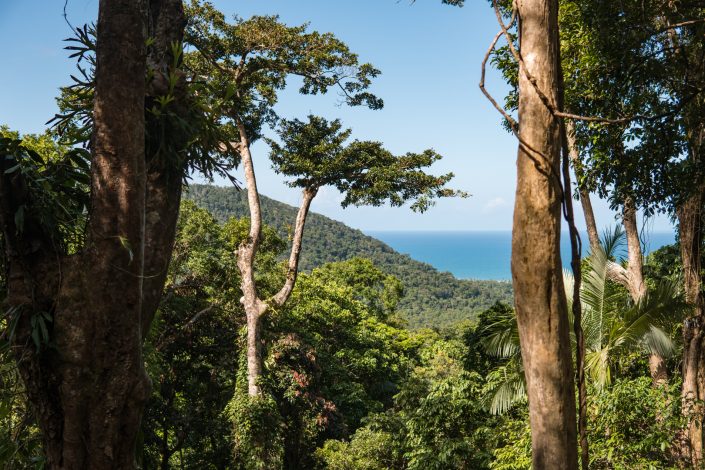Tropical North, Queensland, Australia