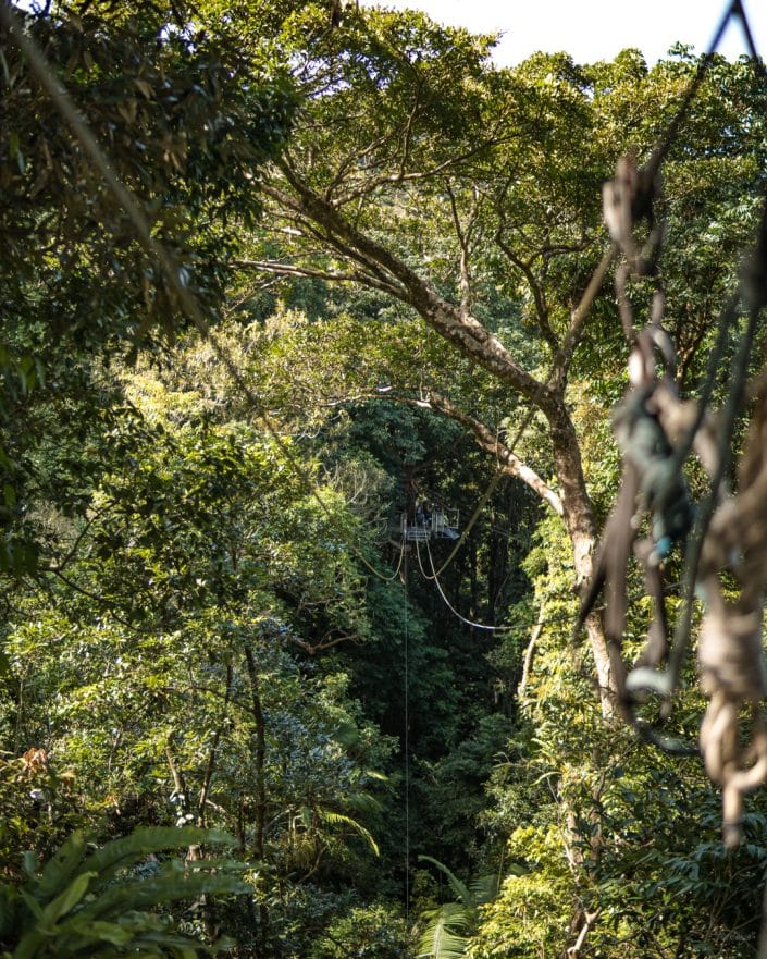 Tropical North, Queensland, Australia