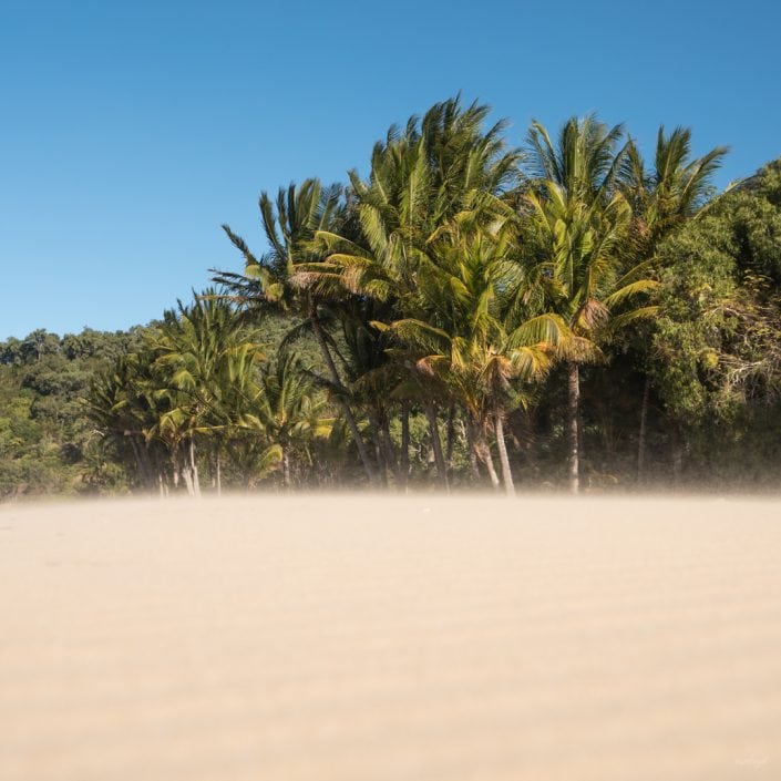 Beach, Queensland, Australia