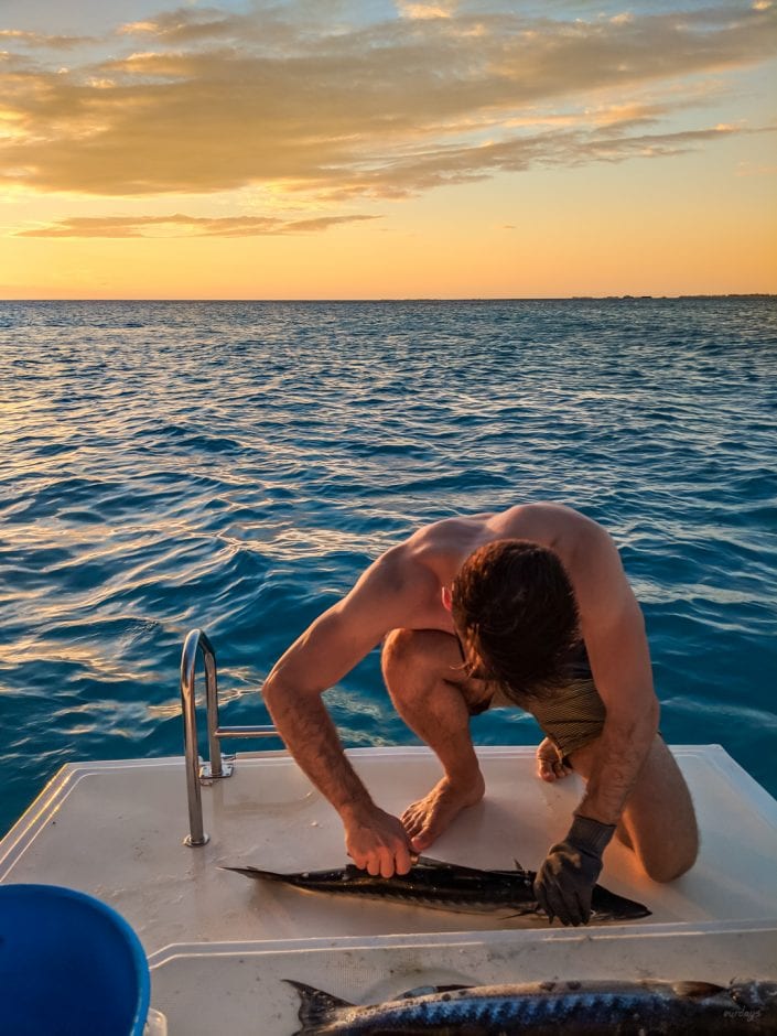 Cuba, Sailing, Segeln, Karibik, Island