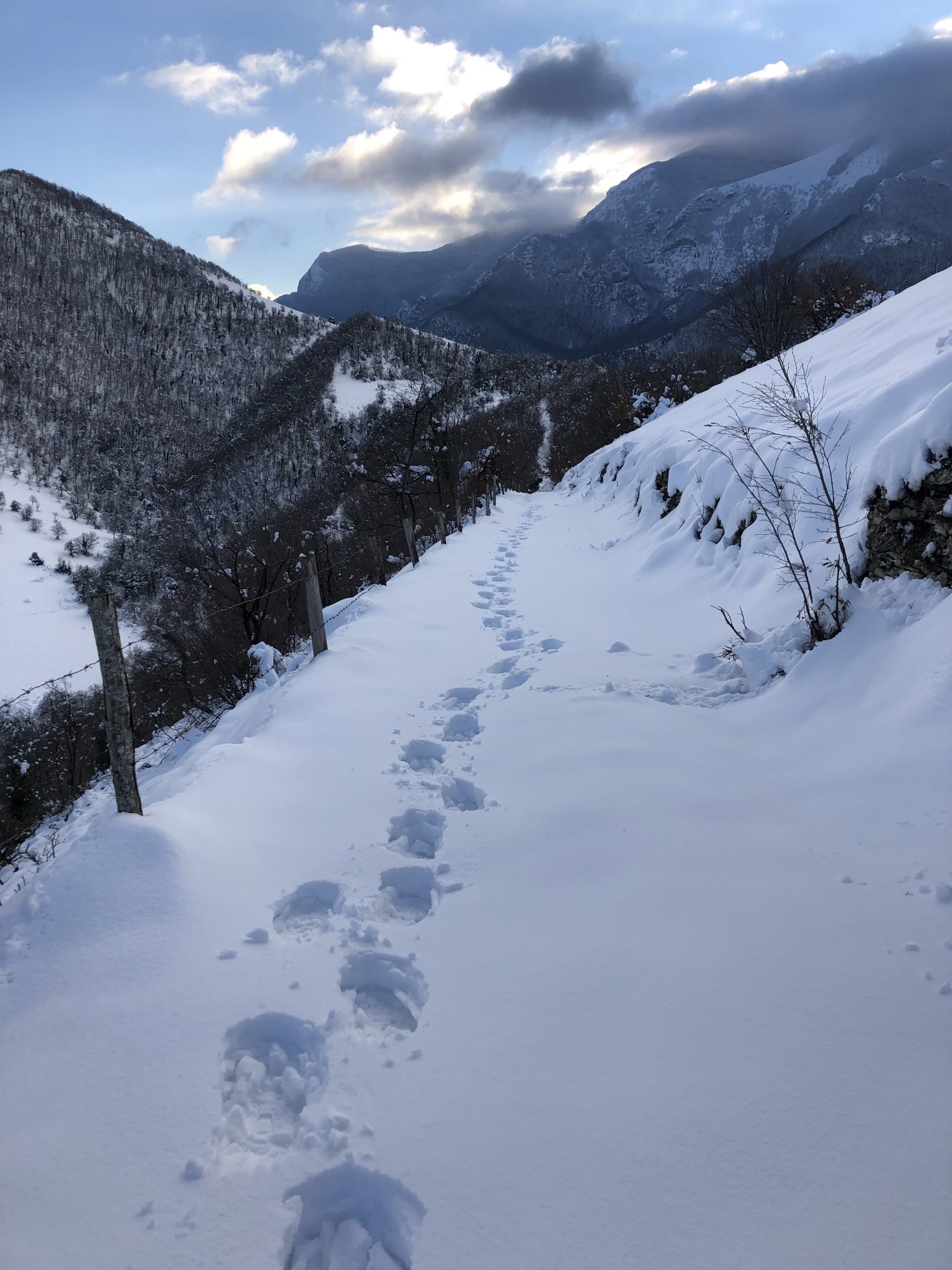 Sneeuwwandelen - Vanaf Fonte Avellana