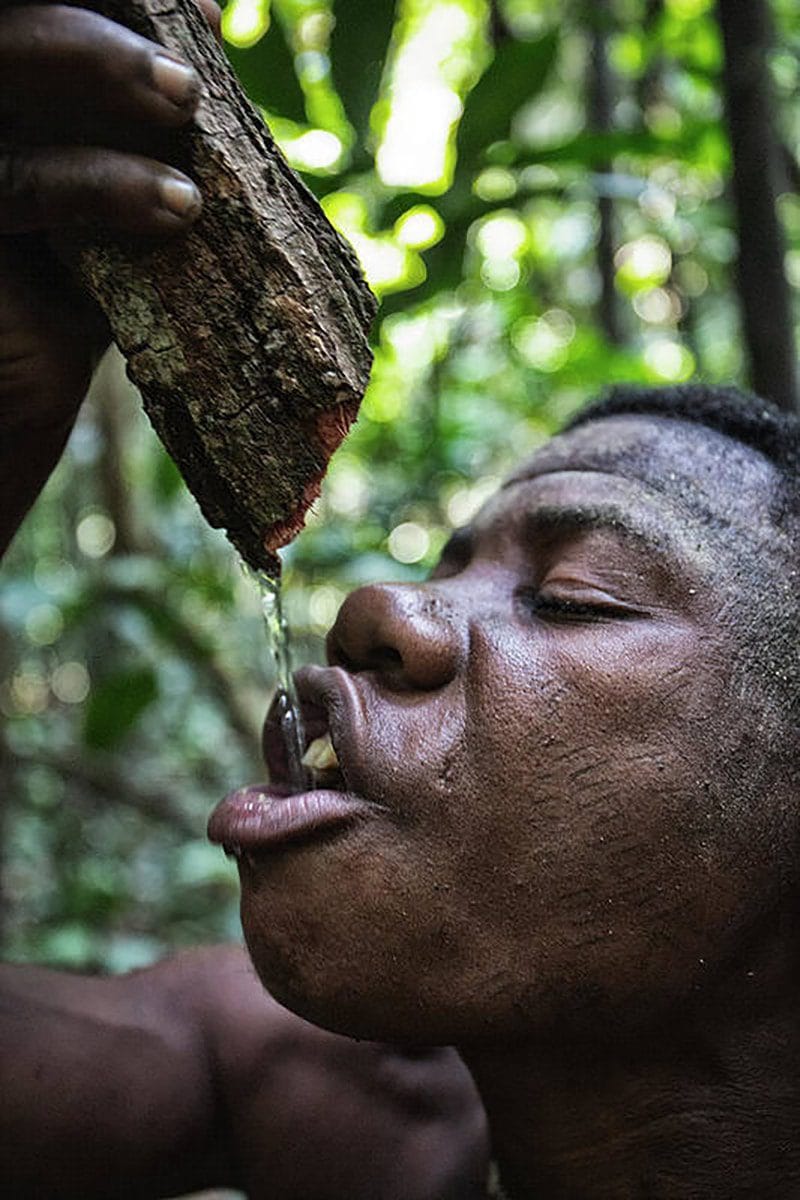 Breathtaking adventure in Dzanga Sangha National Park