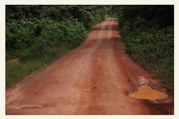 Wander through the diverse landscapes of Lobeke National Park