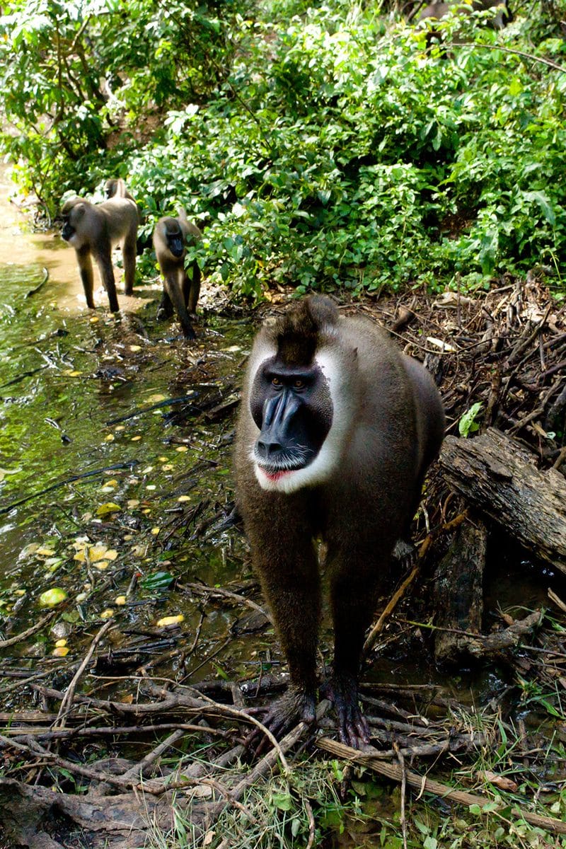 Travel back in time at Nigeria and Benin's rich heritage sites