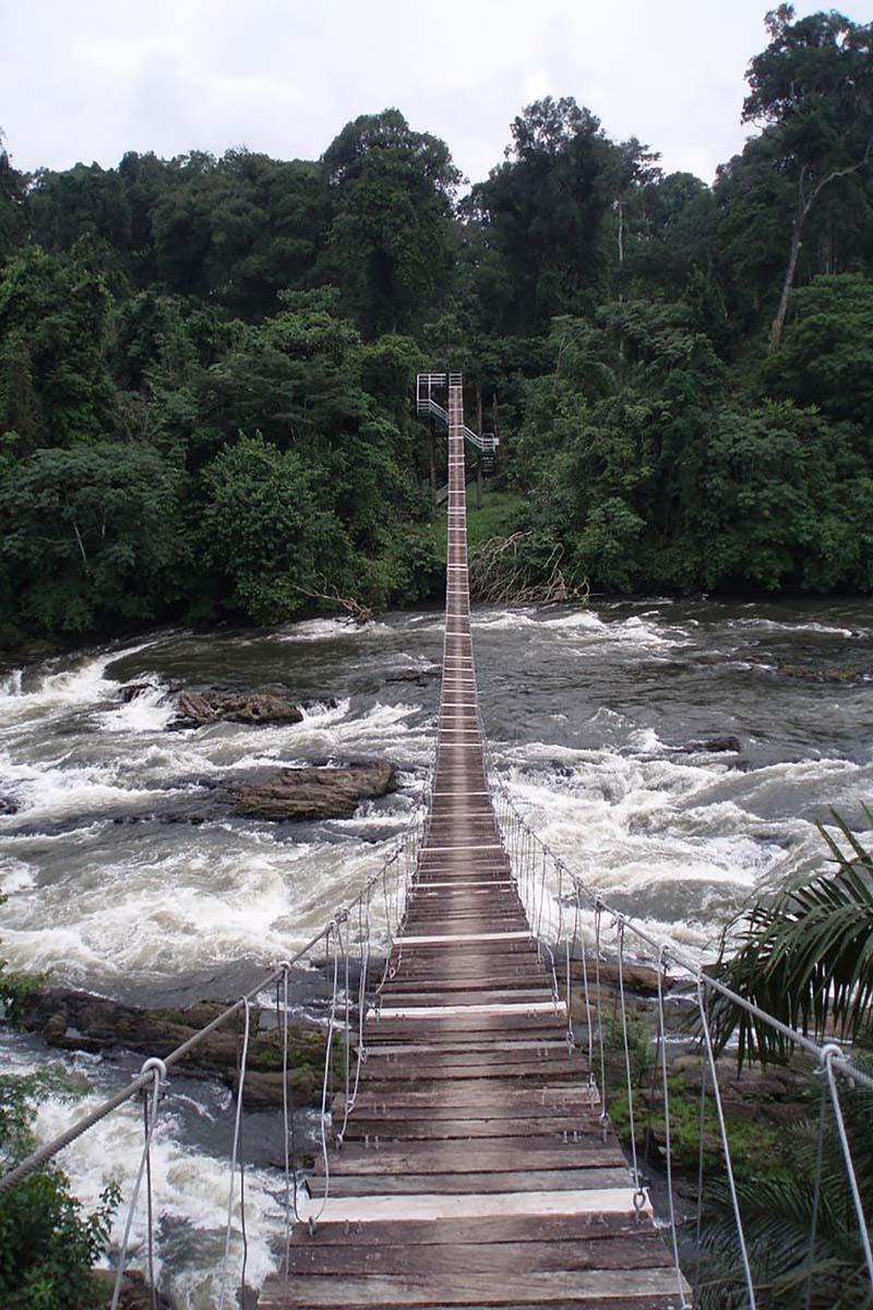 Uncover the captivating beauty of Lobeke National Park