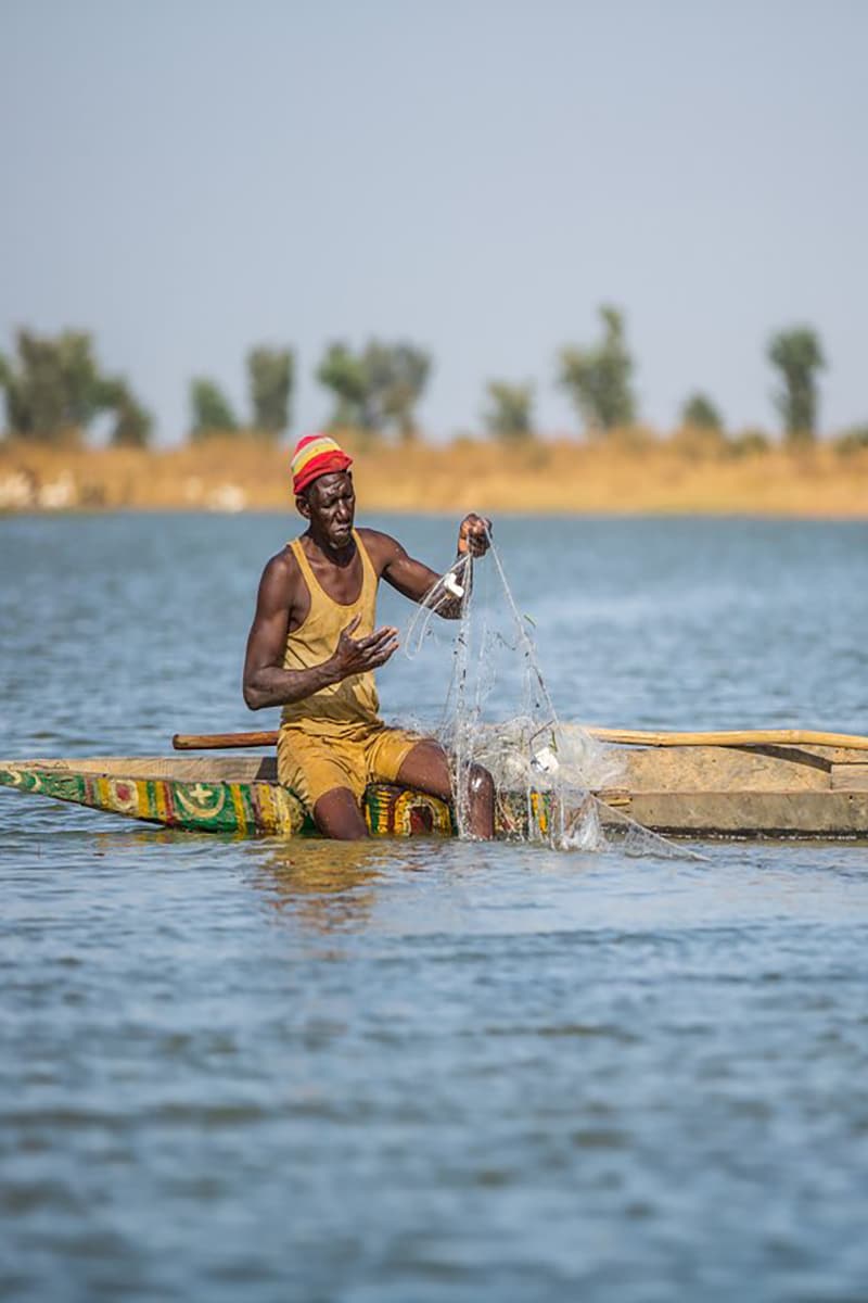 memo niger-4